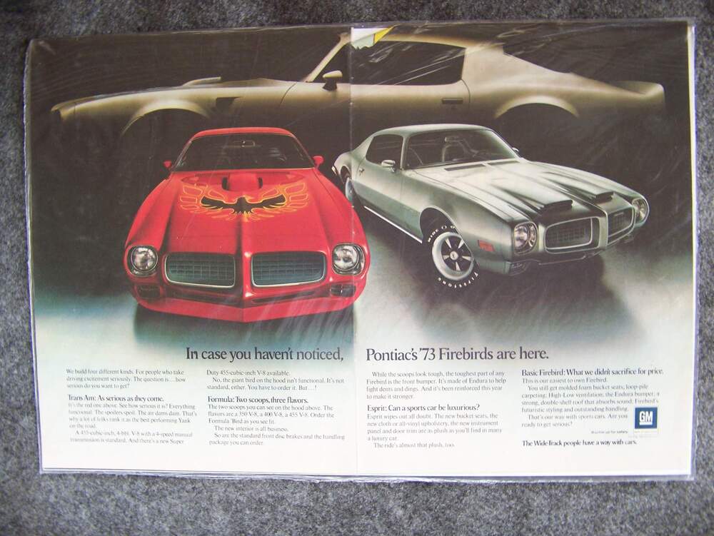 TA ads-- Benn -09 035.jpg