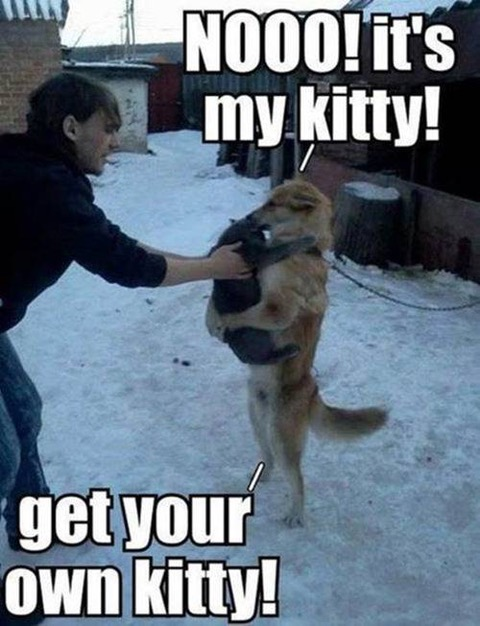 image.png.19b5c933aca3779d6df4730bb1ac7bcb.png