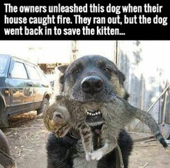 image.png.a1d65e3ae5fdd8686a3a9ad5175fc68f.png