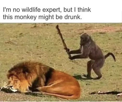 image.png.e8d2bed49431349ceabdb078b26dd8af.png