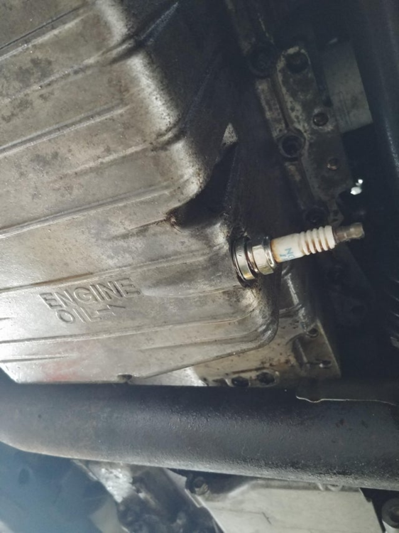 image.thumb.png.f6e627e0a1131cb955c4db00c1244b6c.png