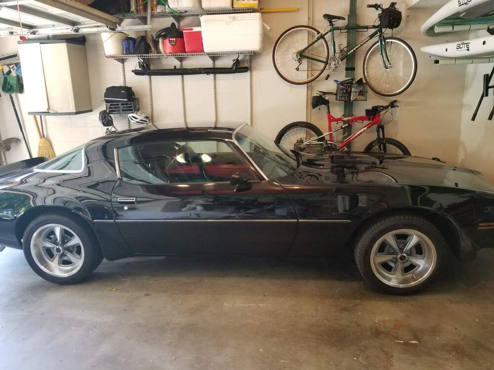 Young 77 Trans Am exterior side (6.11.21).jpg