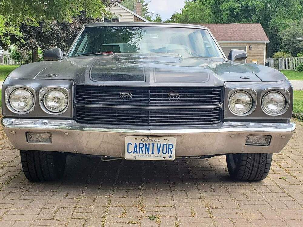 carnivor.jpg