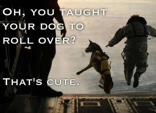 image.png.3b831b3527d749056838e970af43af66.png
