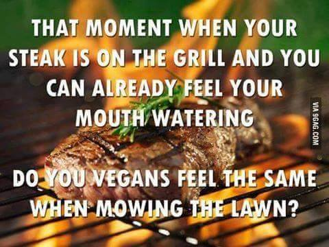 image.png.725ae706041912a914c5274c8a05fbc9.png