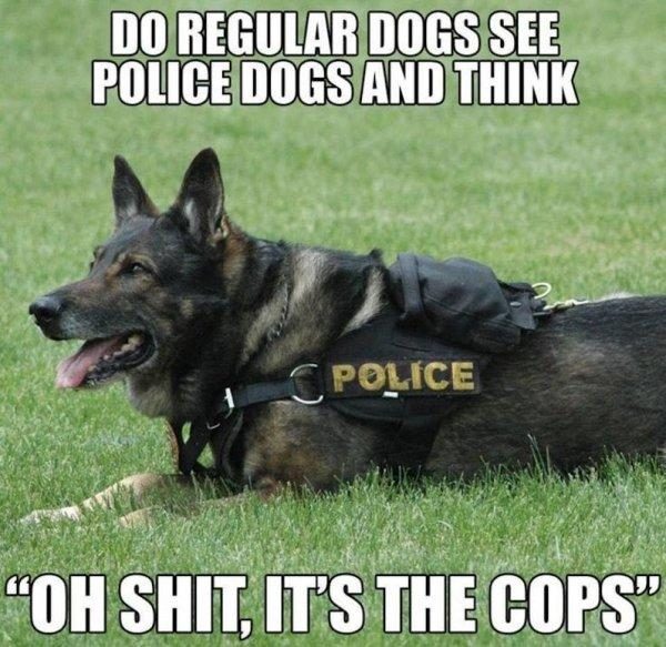 image.png.bc68469d81a5804f6269a582ab7c87ea.png