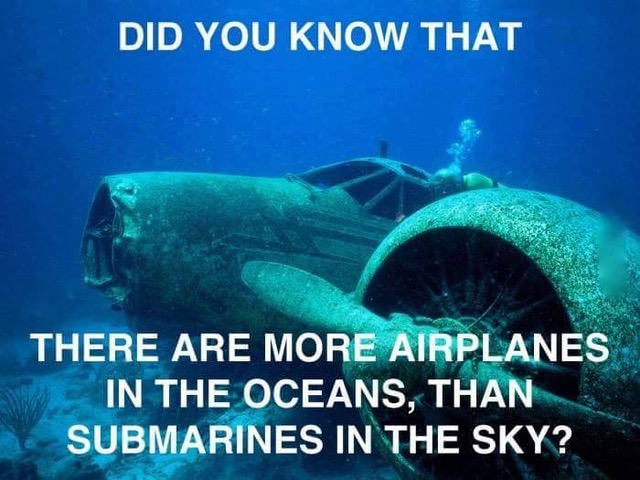 image.png.c136579868fde59b66e10777ba2615dd.png