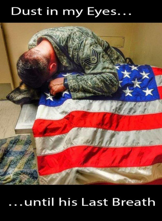 image.thumb.png.3bed4fb2a1c68f737aab6ca7ec71262c.png