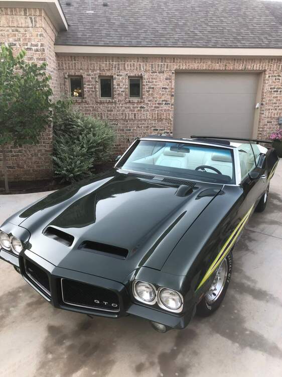 GTO 2.jpg