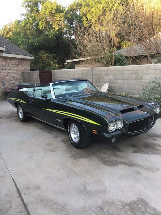GTO 1.jpg