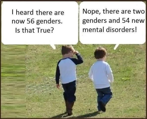 image.png.cf247a438858bc1fa628d2c1b228728e.png