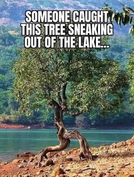 image.png.dd2647178555dcbb23965a8759d631e2.png