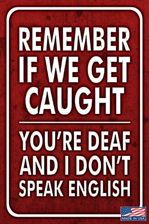 image.thumb.png.ad69c324cbe7f3a7302539ee9aafa396.png