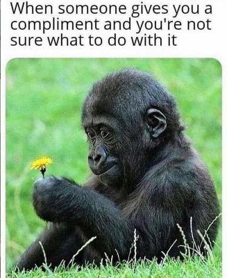 image.png.8bc4c6a8d8058d34f58a20d0b985bdcc.png