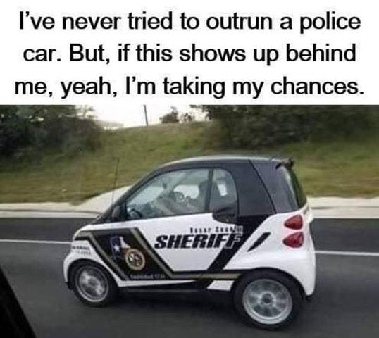 image.png.41d38851ea86dfd33832242d9ffda234.png
