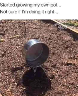image.png.507a8e062e0d9a03415431e4976f3099.png