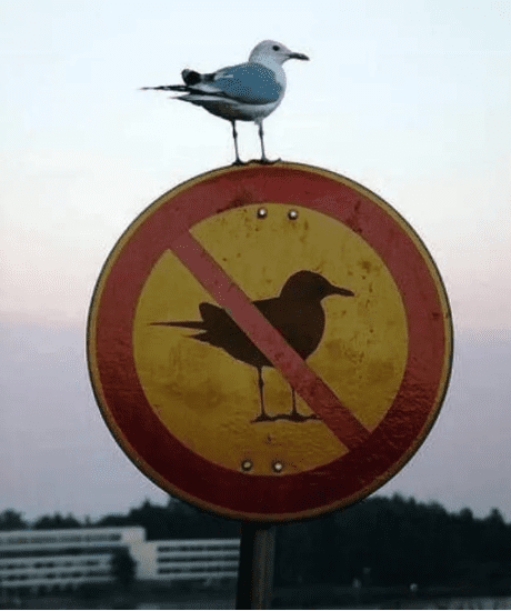 image.png.7fa9d53fc504d621027310e89b840185.png