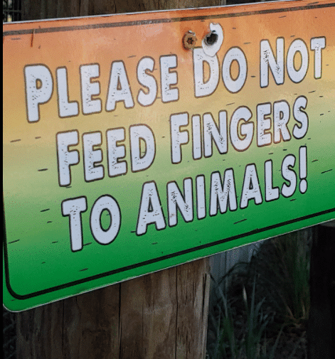 image.png.d722cfda52c6b1ed7c93894b0677e9fa.png