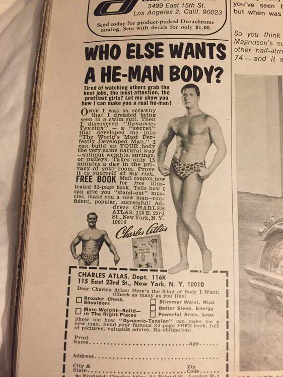 image.jpg