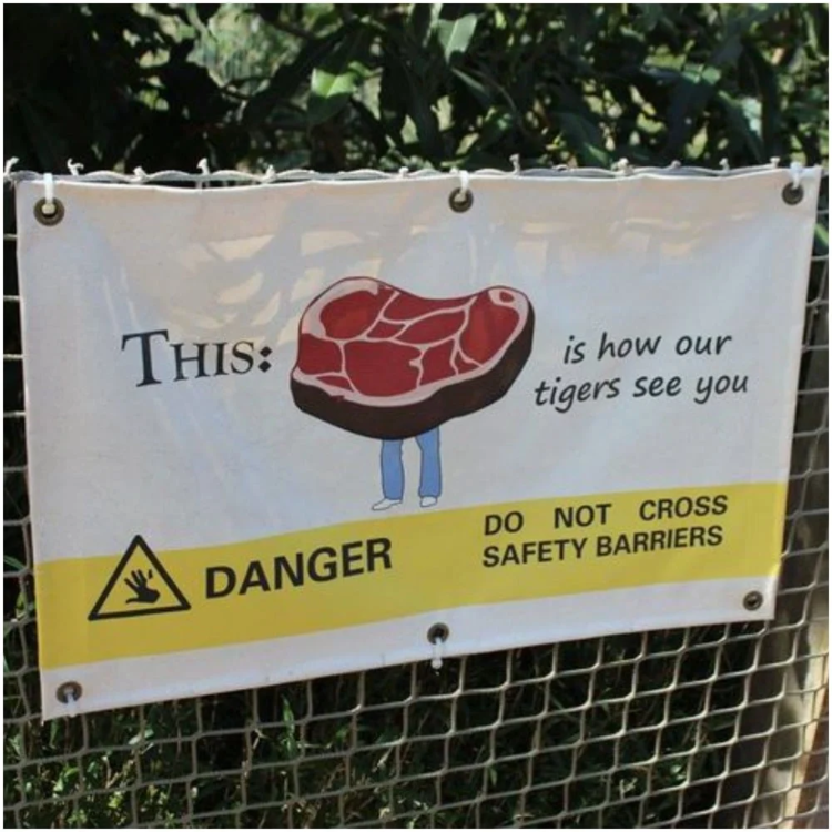 image.thumb.png.7f54dcd0119b31466a4eac78ea1cbd7a.png