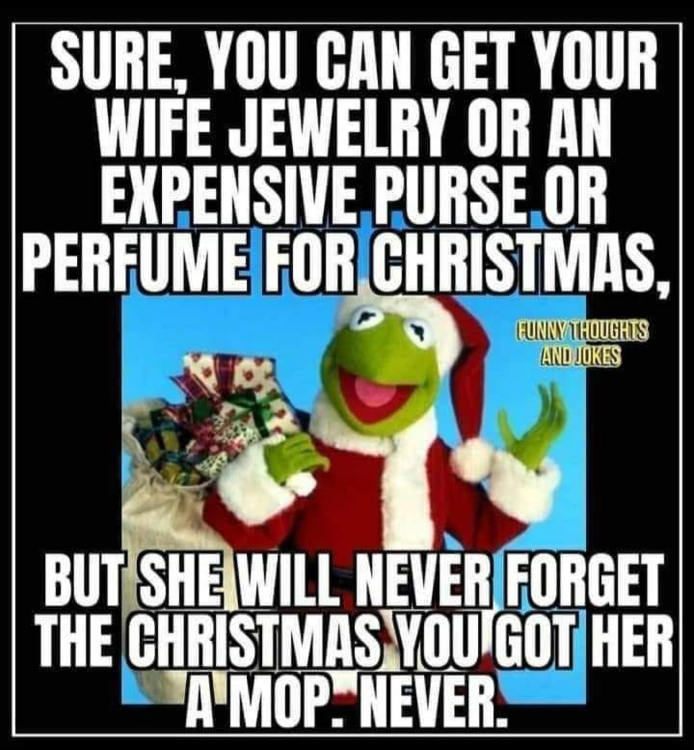 image.thumb.png.e92132cb25415a66dda7f854896ff77b.png