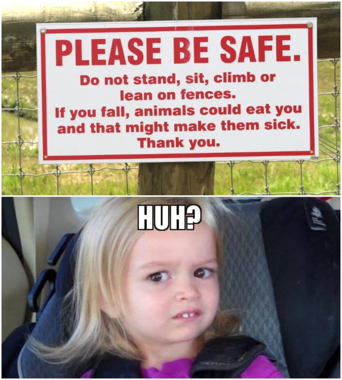 image.thumb.png.ec61982a4b8c88e3b57fb8d2cbb5c3d2.png