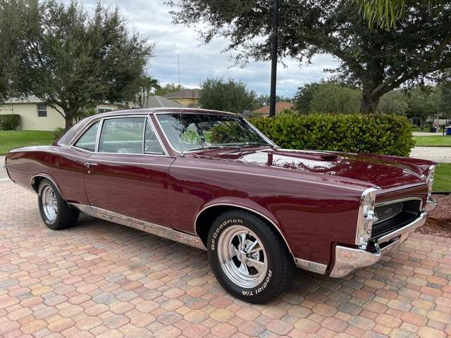 GTO15.jpg.e68bf998bb353d2aebaa53fac03996c3.jpg