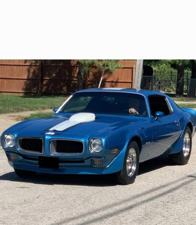 Transam70a.jpg