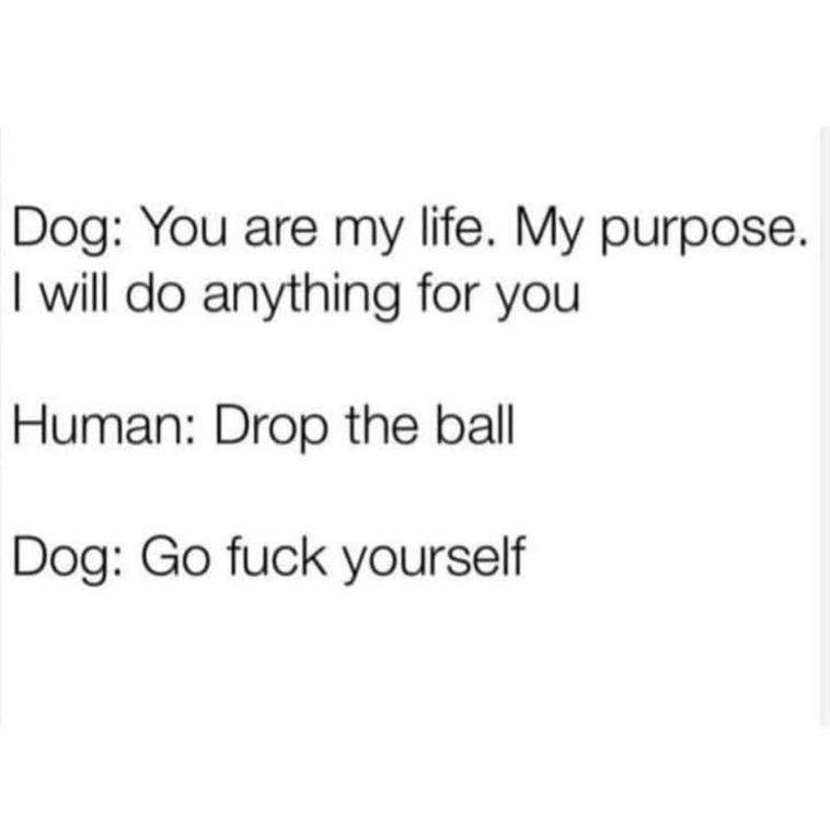 image.thumb.png.b88e91bada9fd30a65044588ab58c70e.png