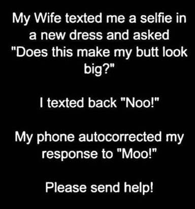 image.png.33d806f81a7fb76205f625b4beca4353.png