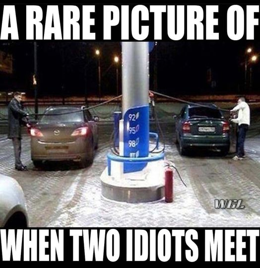 image.png.1d601878c0caf55dd6d8fb7e6177d0aa.png