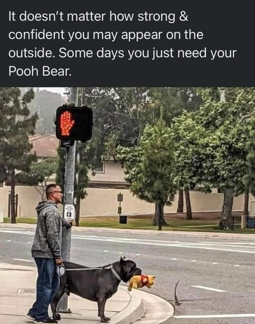image.png.355612d517c2e8c7e6e36d4a873b3aa4.png