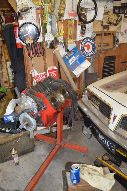 DSC_0240.thumb.JPG.8085e70821721954abd251eea5a9794b.JPG
