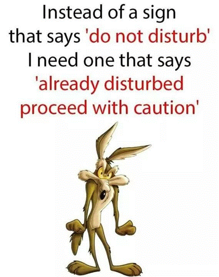 image.png.41a75148ca62a64f61df7afd34446f21.png