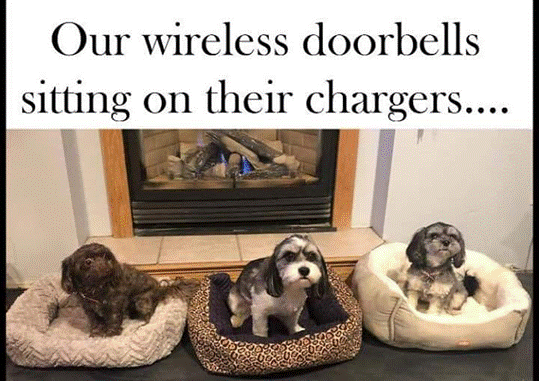 image.png.bdcd44da07f5a06cea57c39e50931660.png