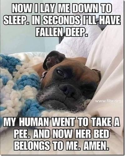image.png.37957cee75a0a76366f99ce9ecd467ee.png