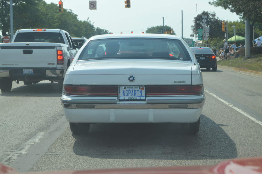 DSC_0088 (1).JPG