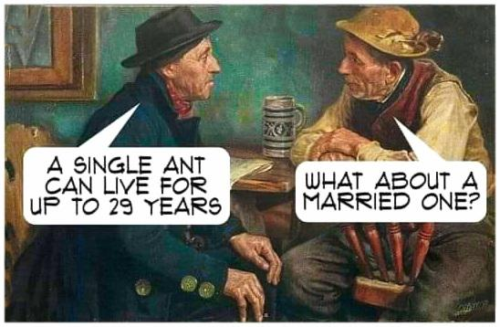 image.png.c92049d3b06ca1ba076255c90c94ca5f.png
