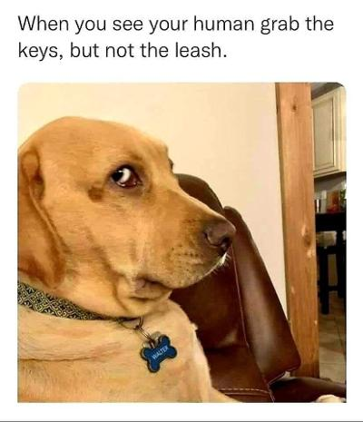 image.png.d67d5337d9408d3c69d846fd01d364d7.png