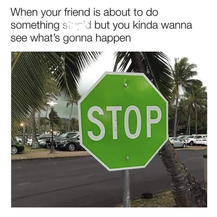 image.thumb.png.a652d04b0cf77264efa15f206a5ba303.png