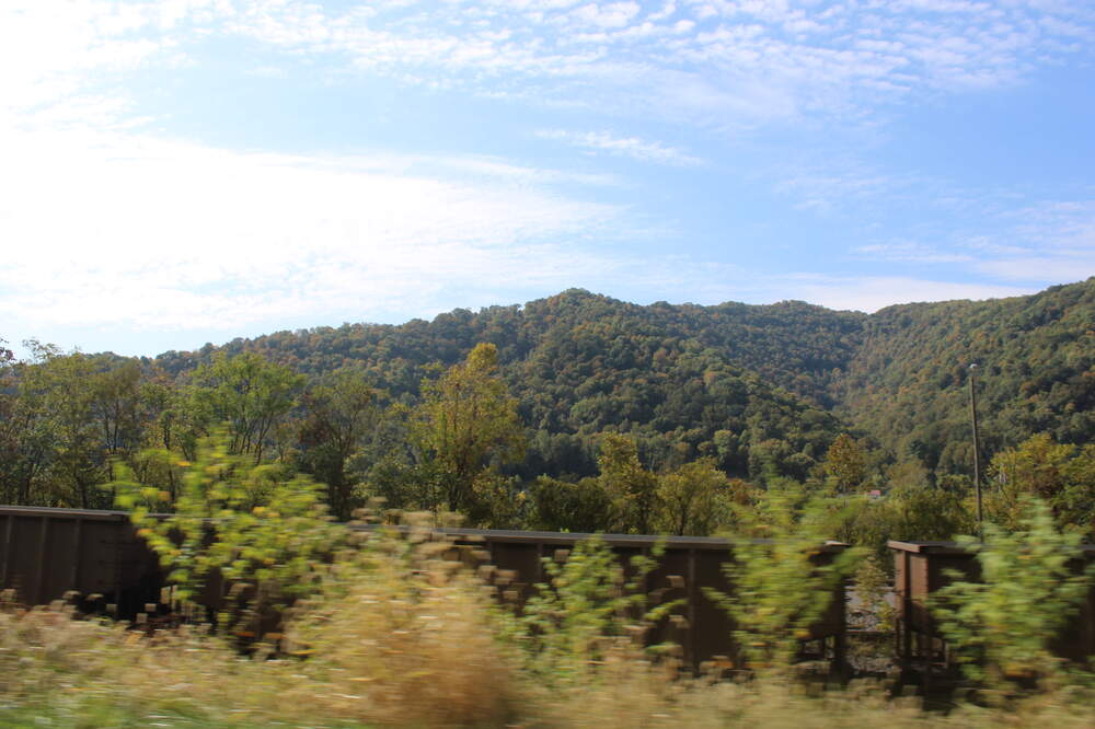 IMG_4509.thumb.JPG.da1edfd65173bfa4e99f760a3d29f44c.JPG