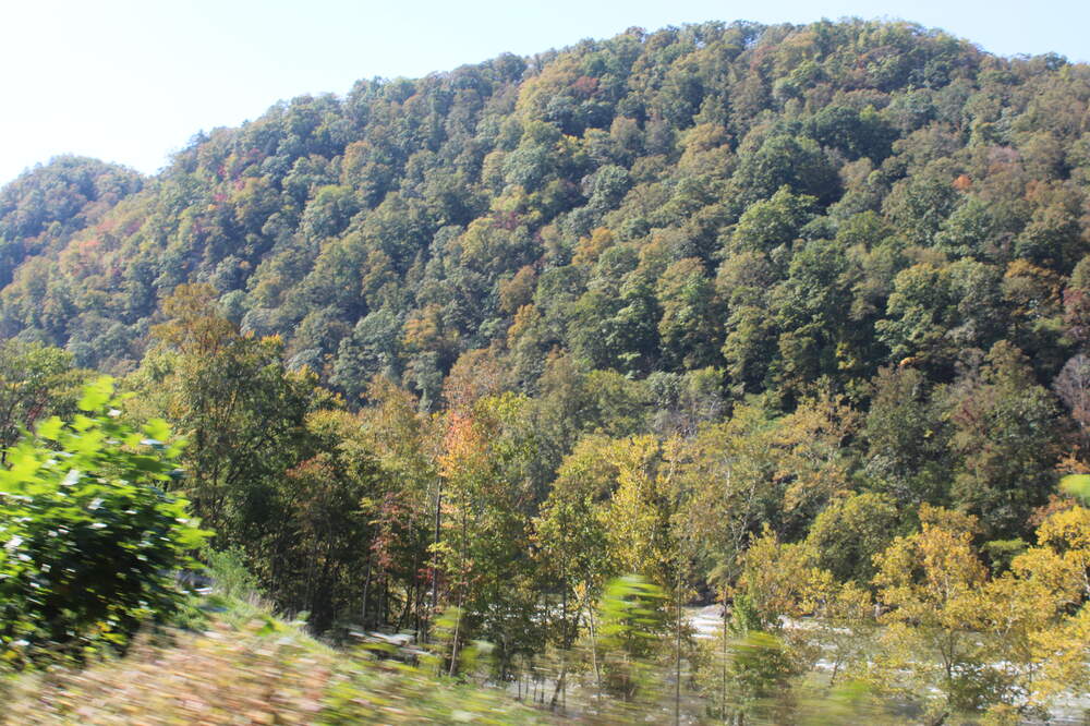 IMG_4546.thumb.JPG.04498cc540bbf823a3f715969f8704a3.JPG