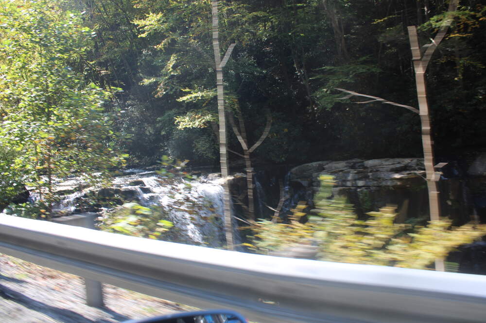 IMG_4553.thumb.JPG.845d9801d1a28ef9bd7d5f81814c6f23.JPG