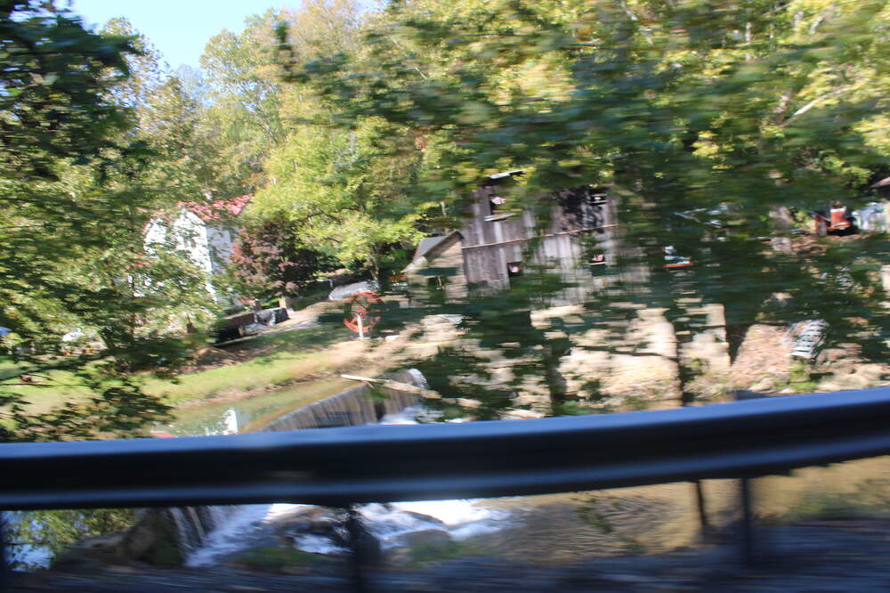 IMG_4556.thumb.JPG.382a4aead2d37ed57c3a57d1c5896d9d.JPG