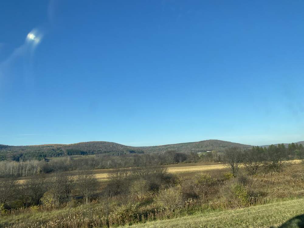 IMG_1546.jpg