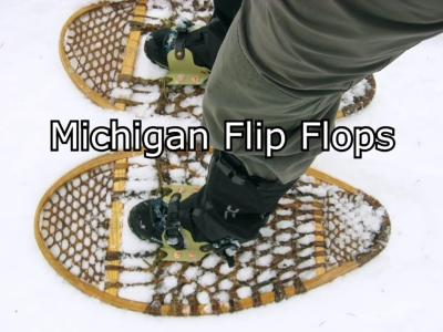 image.png.316df5f347b9f43dcf594ac41138ed46.png
