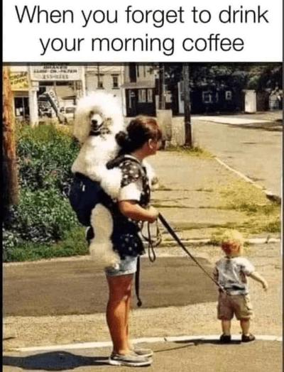 image.png.45ca820394123b3957f295391f3ca992.png