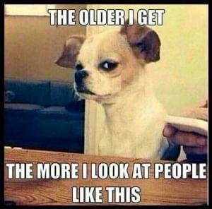image.png.875ca6a6a47f0557cdb83e8adc2a515f.png