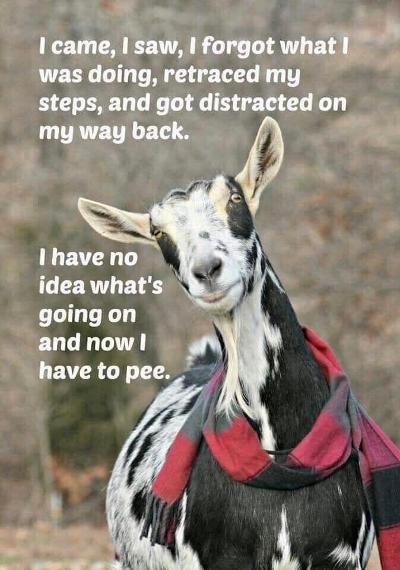 image.png.ed0c3f657d11317215366ffe79a06b4c.png