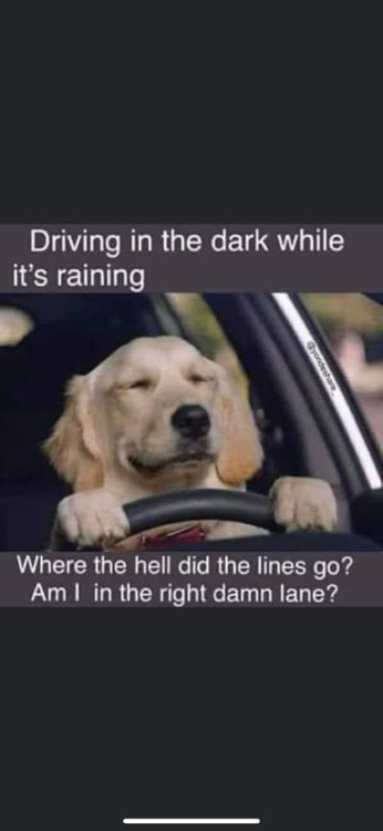 image.thumb.png.1c2c2cef8320a902cc8d88e7d1173494.png